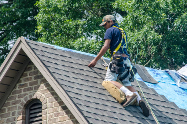 Professional Roofing Contractor in West Liberty, KY